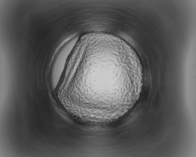 X0000083020390200703022009