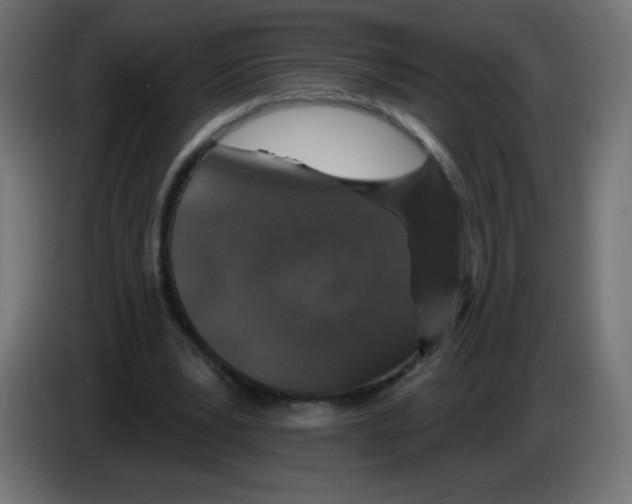 X0000083020391200703022009