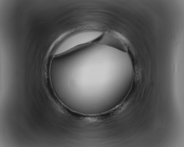 X0000083020392200703022008