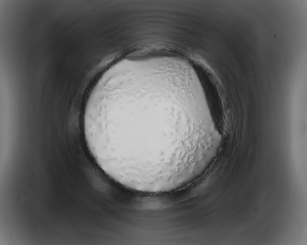 X0000083020394200703022008