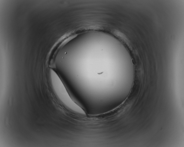 X0000083020395200703022008