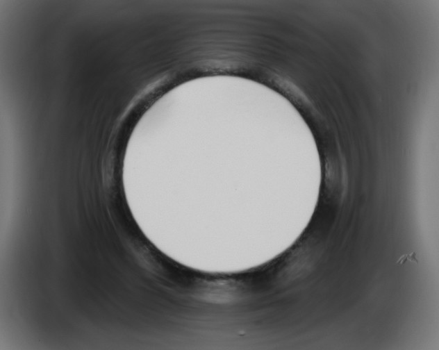 X0000083020396200703022008