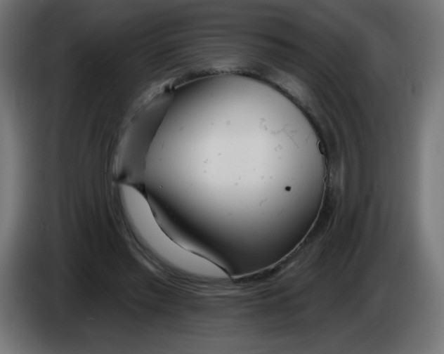 X0000083020397200703022008