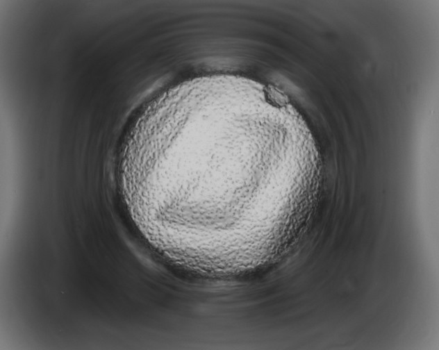 X0000083020398200703022008