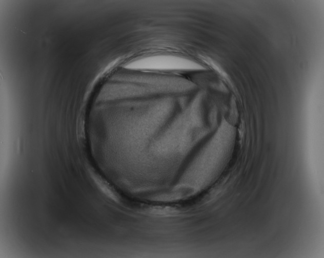 X0000083020399200703022008