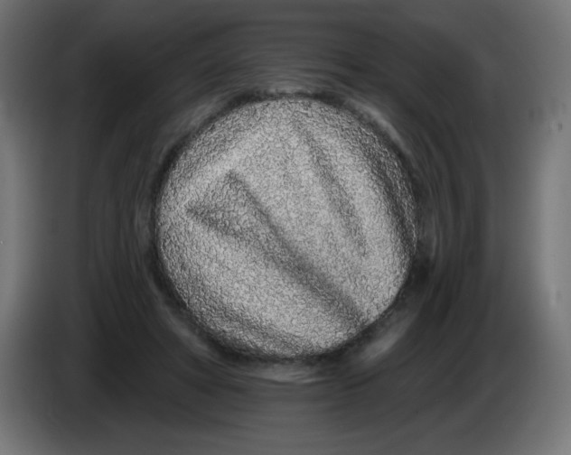 X0000083020402200703022008