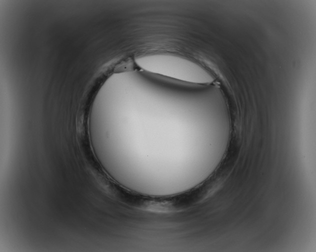 X0000083020403200703022008