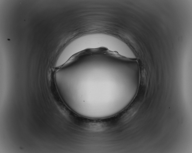 X0000083020404200703022008