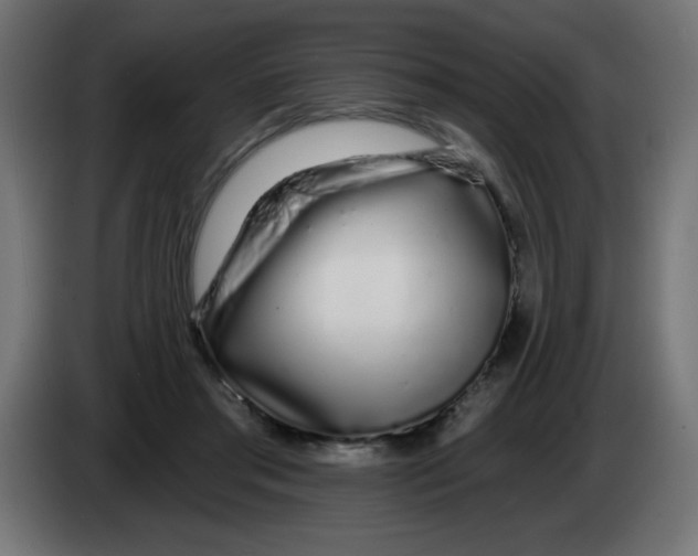 X0000083020405200703022008