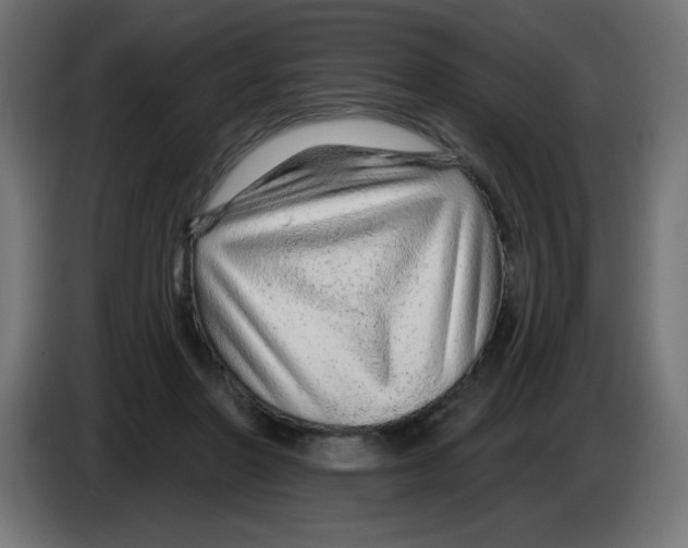 X0000083020406200703022008