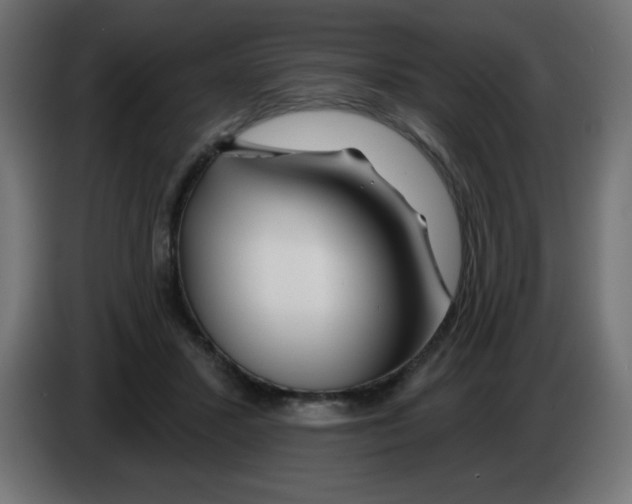 X0000083020407200703022008