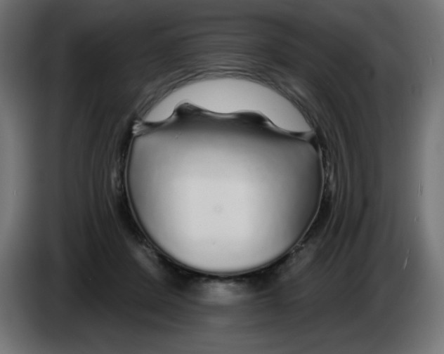 X0000083020408200703022008