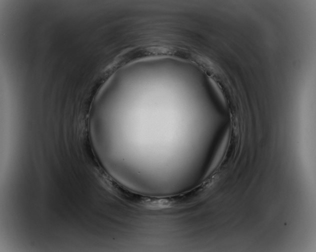 X0000083020409200703022008