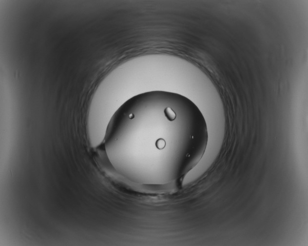 X0000083020411200703022008