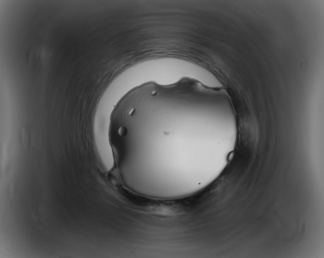 X0000083020412200703022008