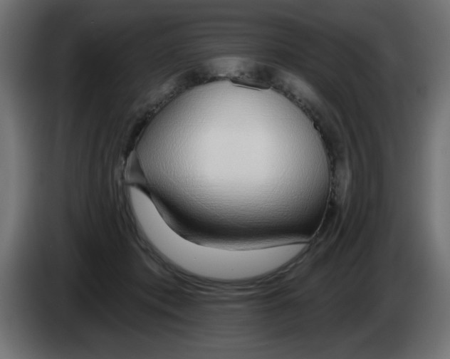 X0000083020413200703022008