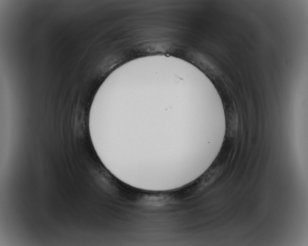 X0000083020414200703022008