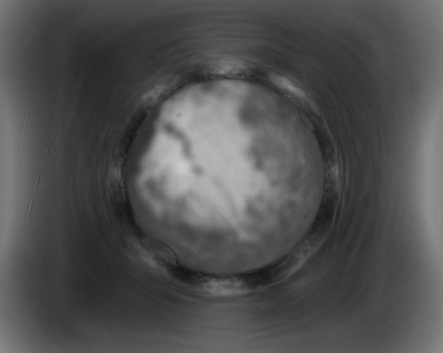 X0000083020415200703022008