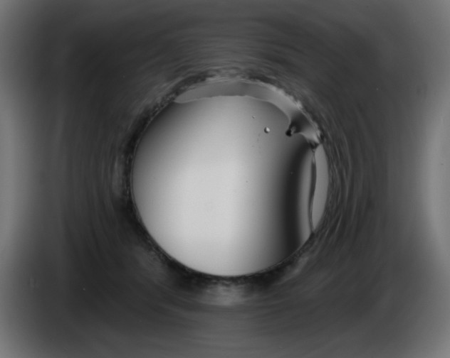 X0000083020416200703022008