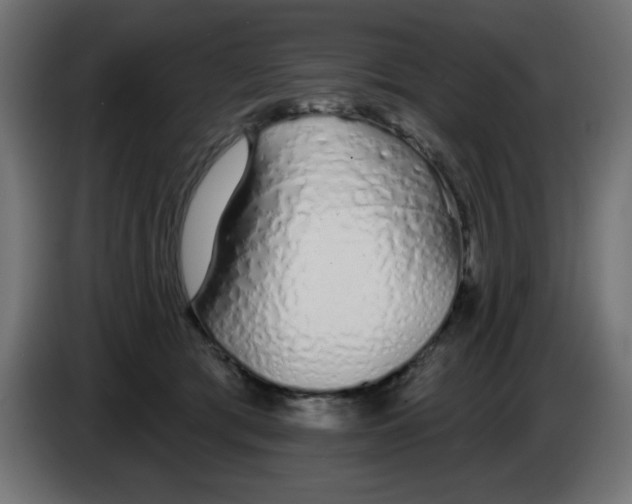 X0000083020417200703022008