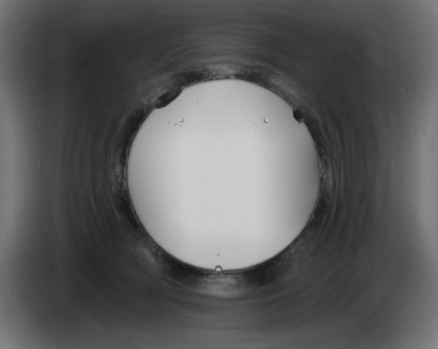 X0000083020418200703022008