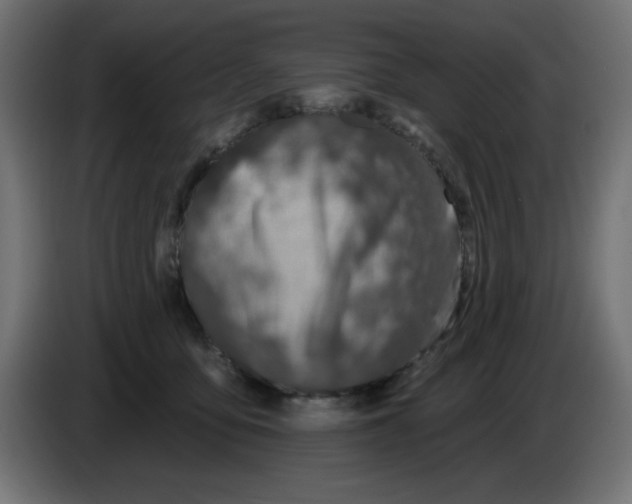 X0000083020419200703022008