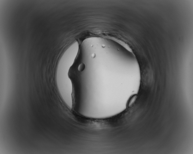 X0000083020420200703022008