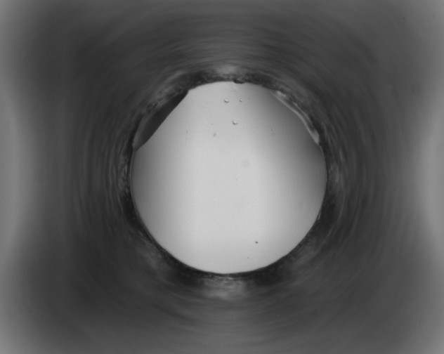 X0000083020421200703022008