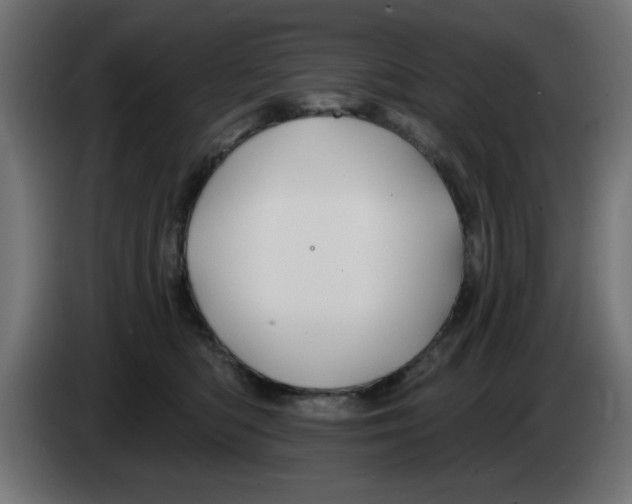 X0000083020422200703022008