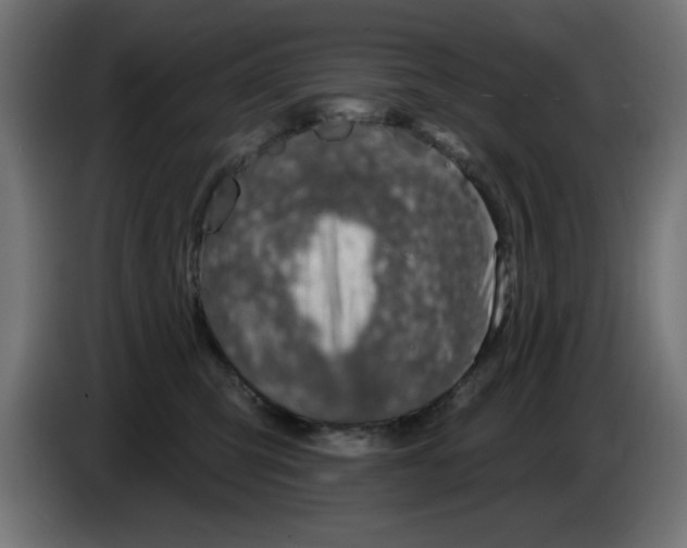 X0000083020423200703022008