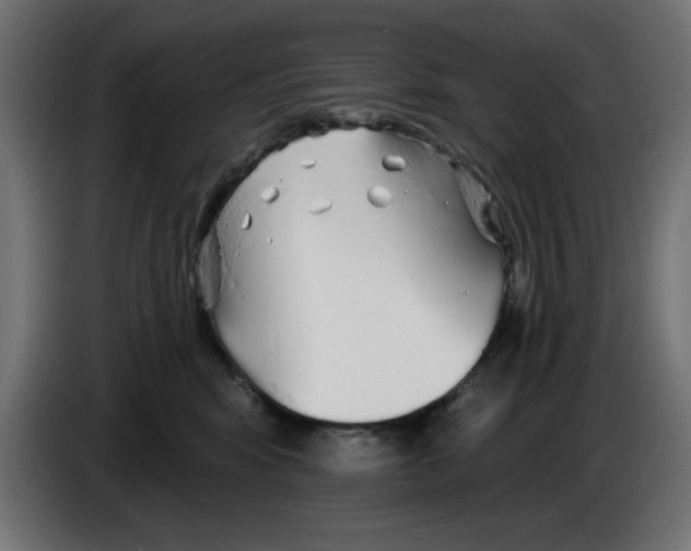 X0000083020424200703022008