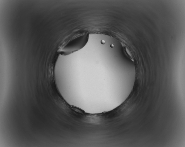 X0000083020425200703022008