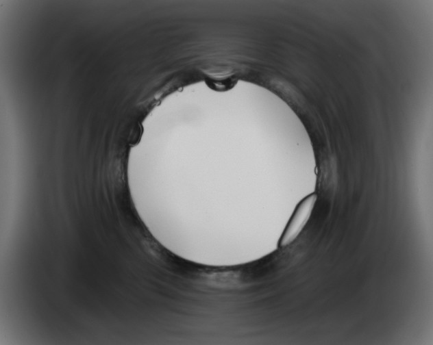 X0000083020426200703022008