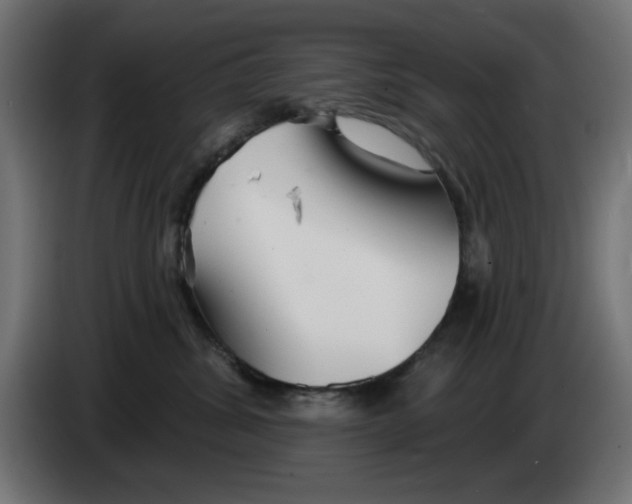 X0000083020428200703022008