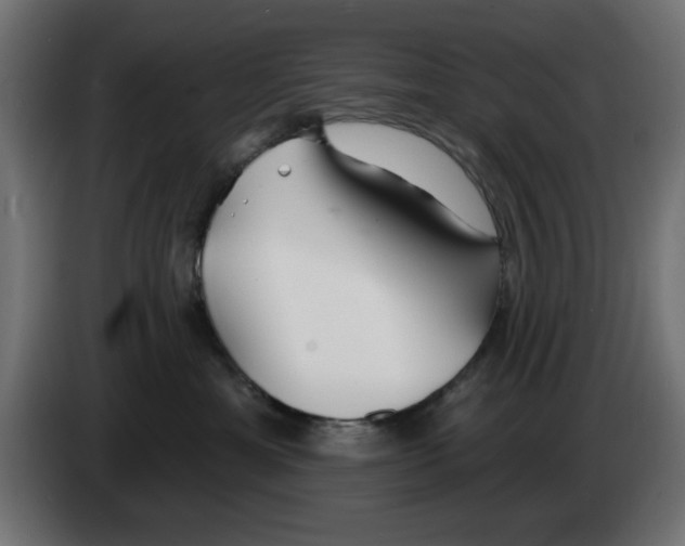 X0000083020429200703022008