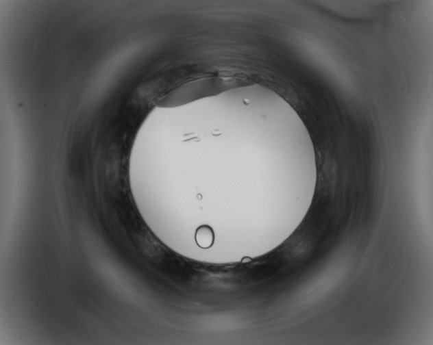 X0000083020430200703022008