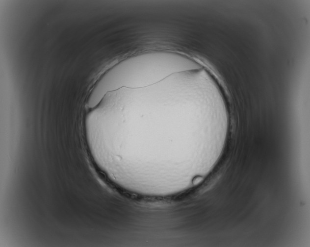 X0000083020433200703022007