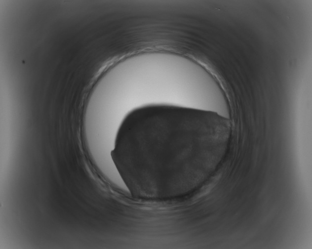 X0000083020434200703022007