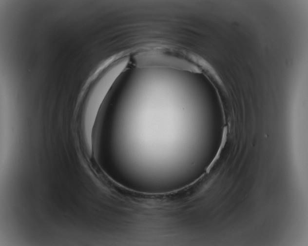 X0000083020436200703022007