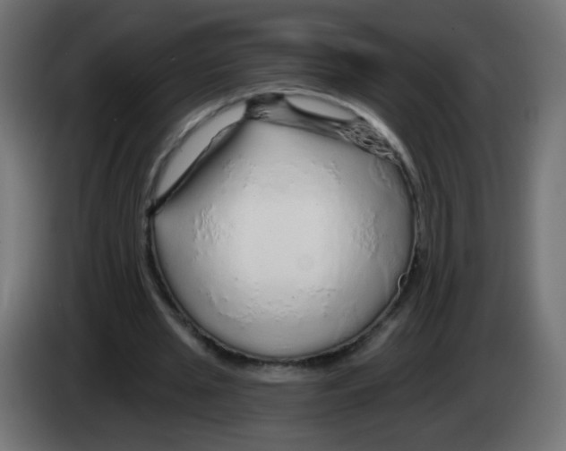 X0000083020437200703022007