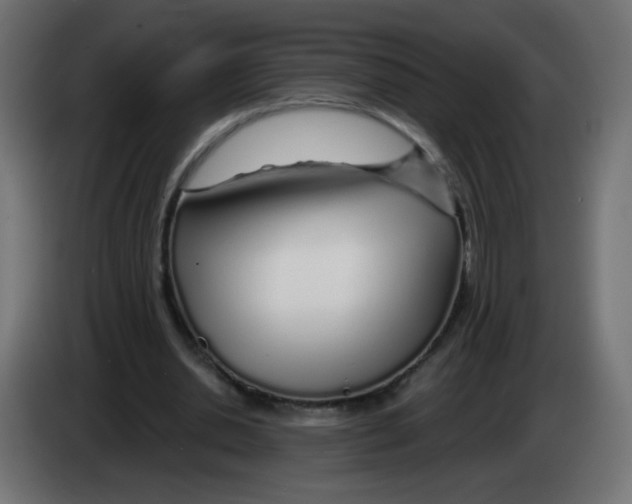 X0000083020438200703022007