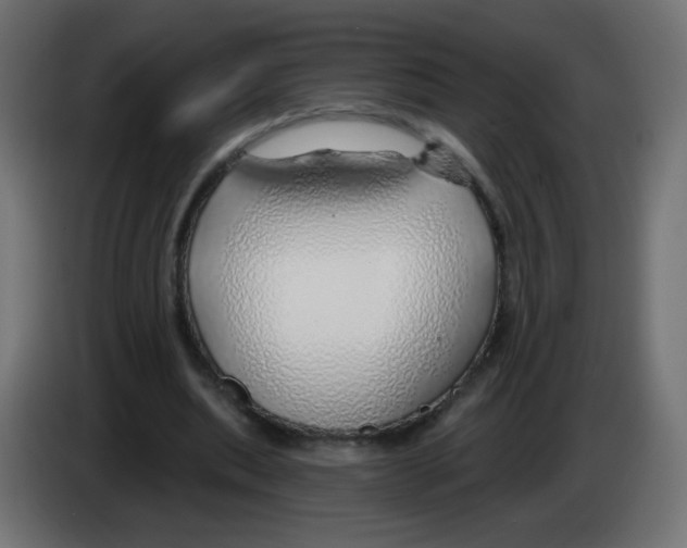 X0000083020439200703022007