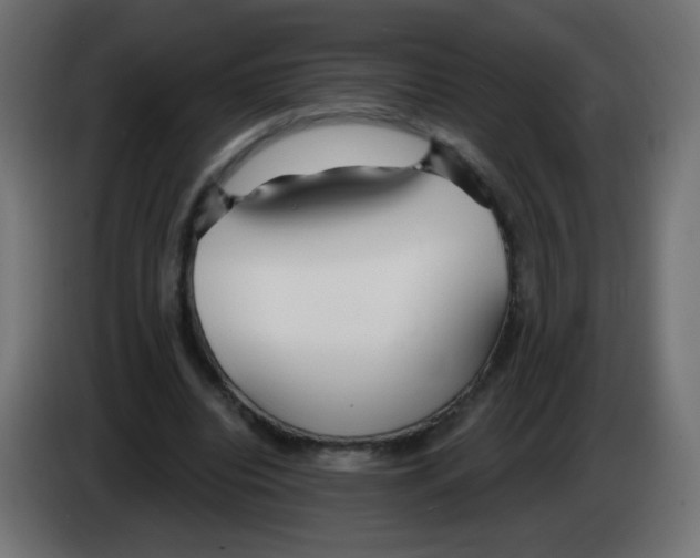 X0000083020440200703022007