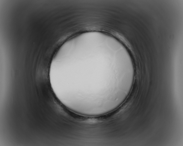 X0000083020441200703022007