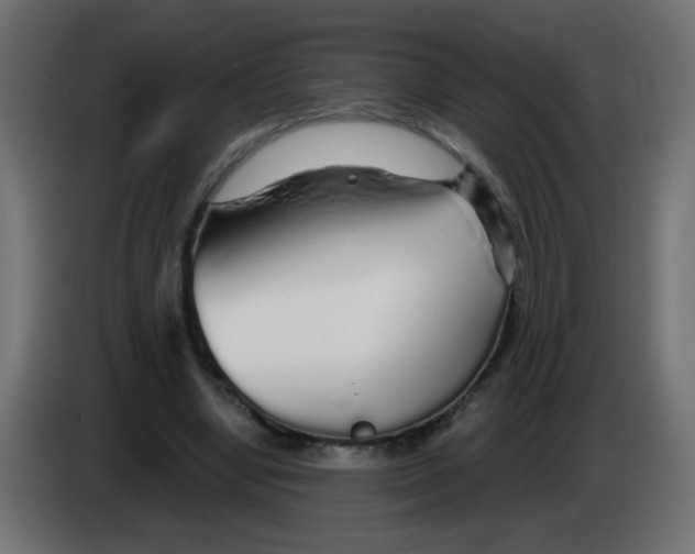 X0000083020442200703022007