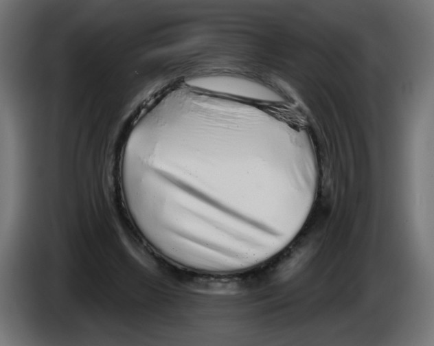 X0000083020443200703022007