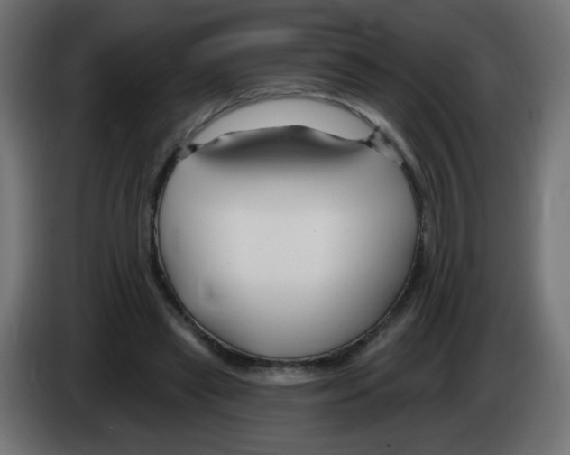 X0000083020445200703022007