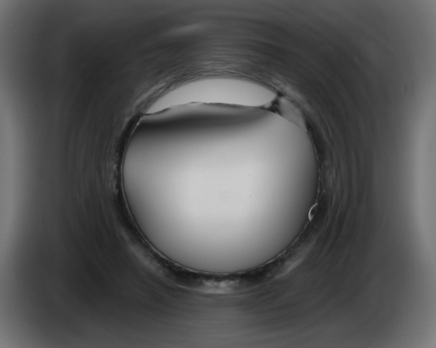 X0000083020450200703022007