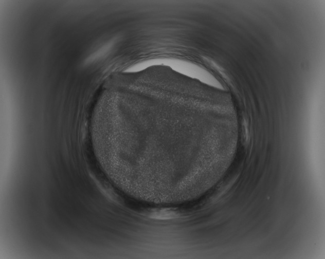 X0000083020451200703022007