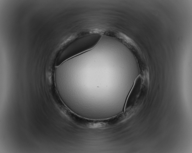 X0000083020452200703022008